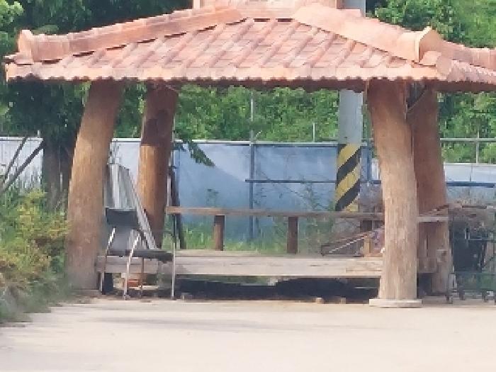 2층 단독주택 앞 정자