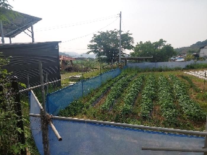 부동산표시목록 3번 밭(전)