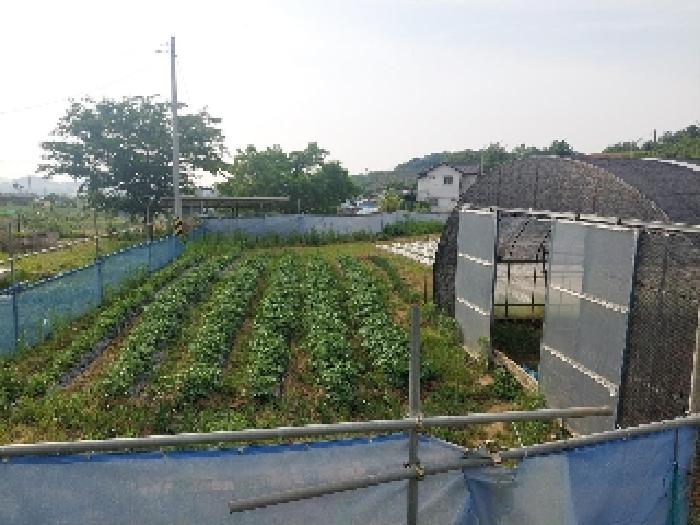 부동산표시목록 3번 밭(전)