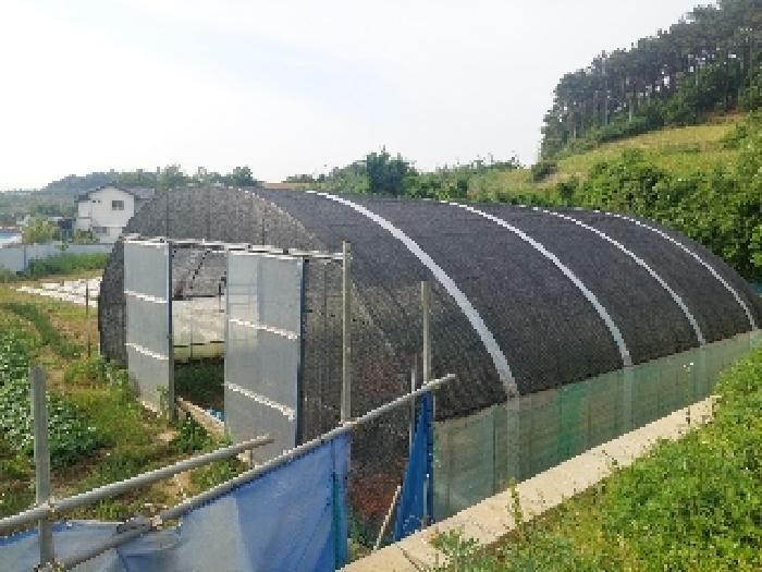 부동산표시목록 3번 밭(전)