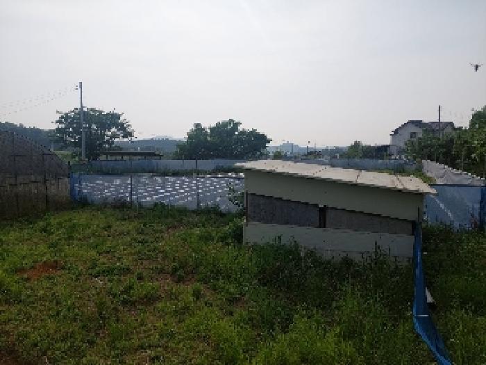 부동산표시목록 3번 밭(전)