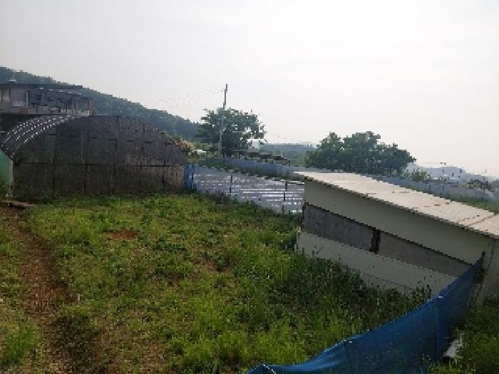 부동산표시목록 3번 밭(전)