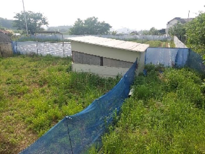 부동산표시목록 3번 밭(전)