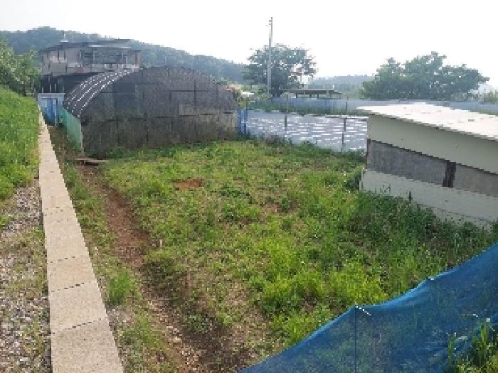 부동산표시목록 3번 밭(전)