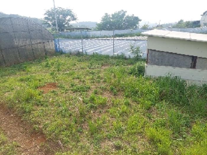 부동산표시목록 3번 밭(전)