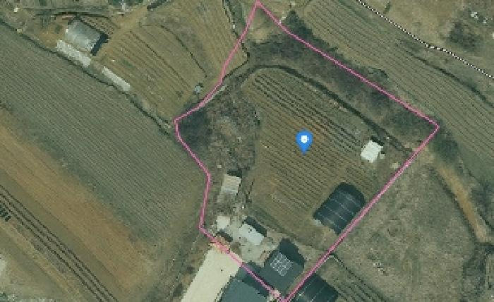 부동산표시목록 3번 밭(전)
