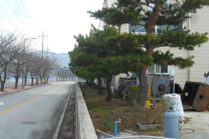 부동산표시 제1호 수목