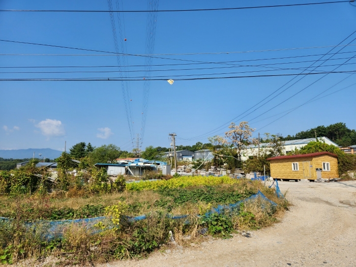 본건 주위 전경