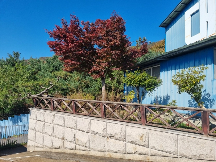 제시외 ㉬ 전경