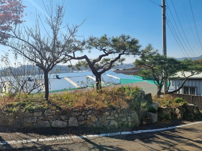 제시외 ㉬ 전경