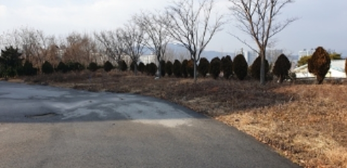 2,12번 부동산 지상 모습