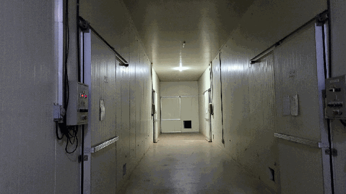 기호 4 내부전경