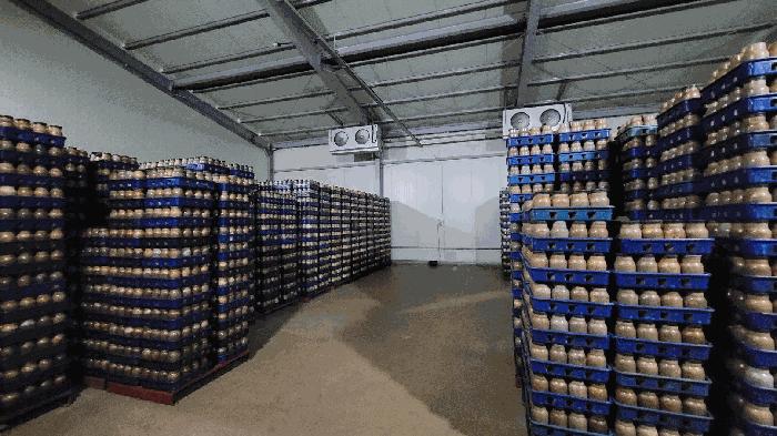 기호 4 내부전경