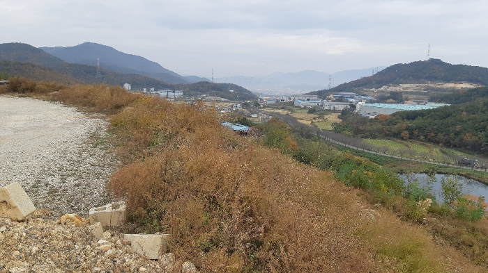 본건 토지 경사법면 북측부분 전경