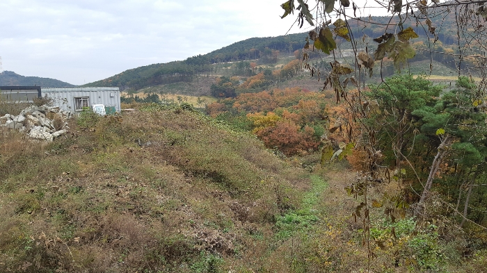 본건 토지 경사법면 남측부분 전경