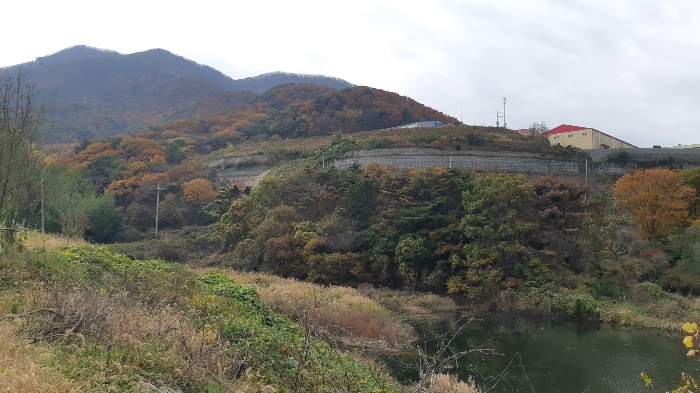 본건 토지 동측의 경사법면 및 옹벽 근경