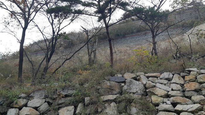 본건 토지 동측 옹벽의 중간 남측부분 전경