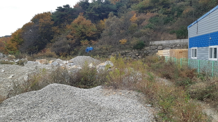 본건 토지 평지 남측부분 전경