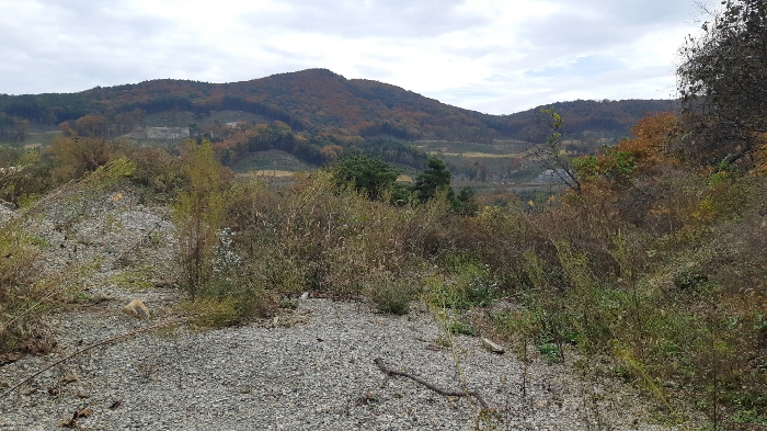 본건 토지 경사법면 남측끝부분 전경