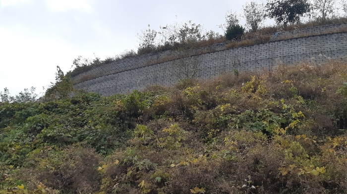 본건 토지 동측 옹벽의 중간 북측부분 전경