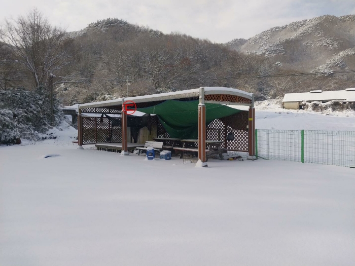 본 건 전 경
(제시외 건물)