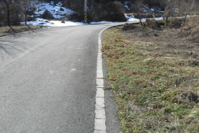 부동산표시 제1호 (경계)