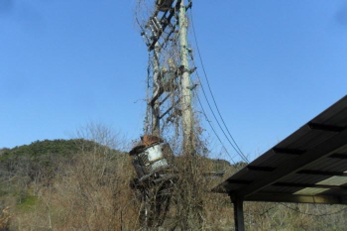 부동산표시 제1호 제시외