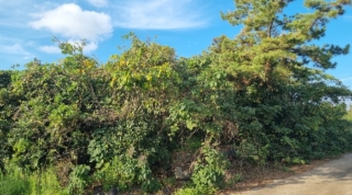 소재지2(표선리