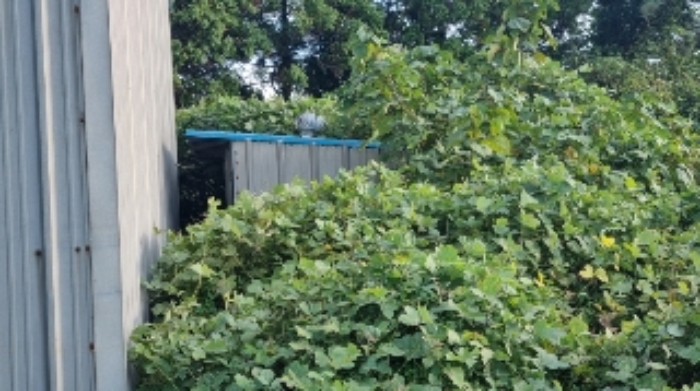 소재지4(표선리