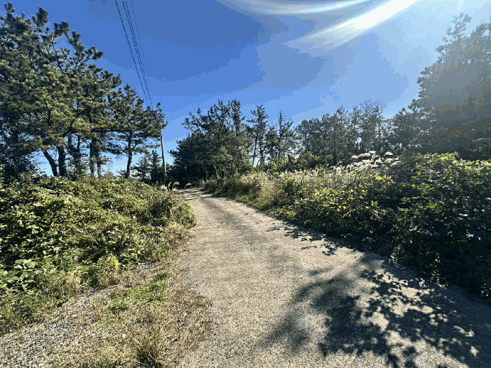 주변도로 및 주