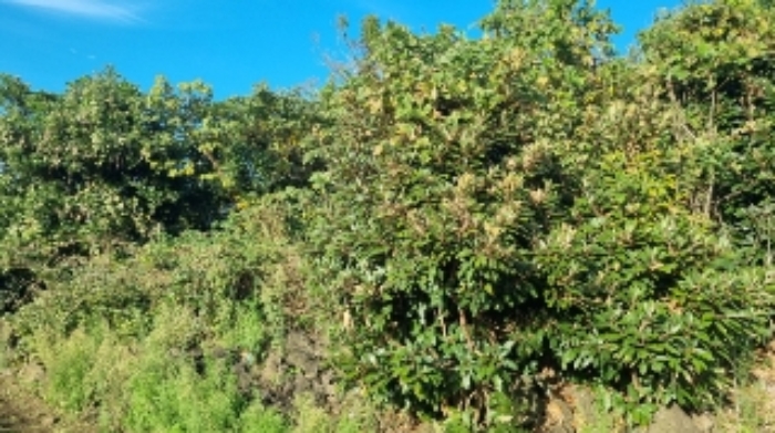 소재지2(표선리