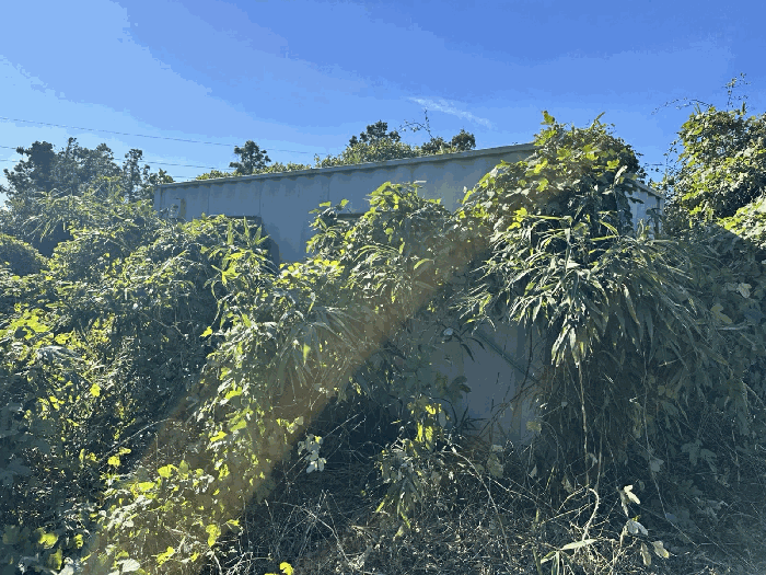 제시외건물 기호