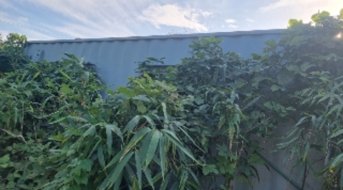 소재지3(표선리