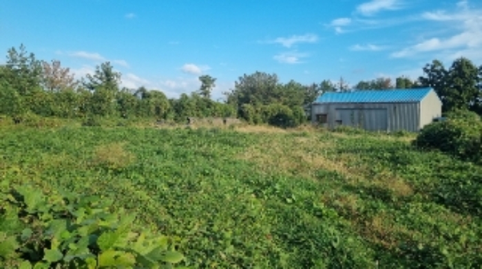 소재지3(표선리