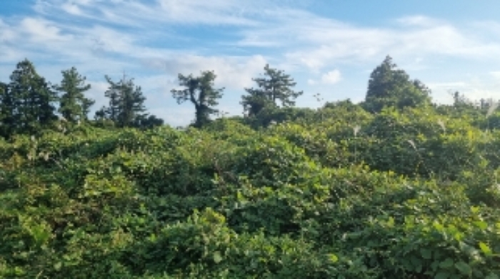 소재지3(표선리