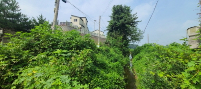 목록 1 토지 전경(1)