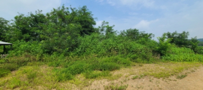 목록 4 토지 전경(2)