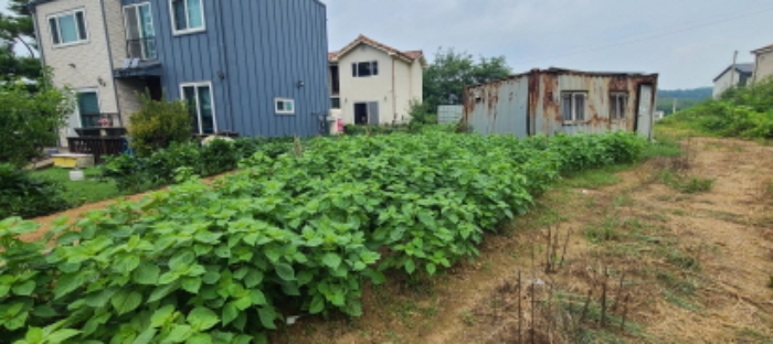 목록 12 토지 전경