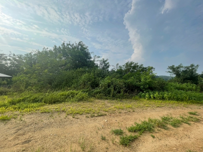 본건 기호(4) 전경