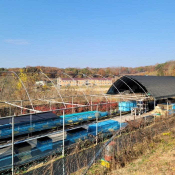 본건 토지 및 제시외 비닐하우스 형태 건물 전경