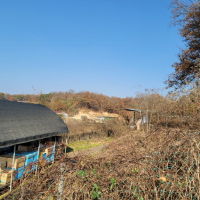 본건 토지 및 제시외 비닐하우스 형태 건물 전경