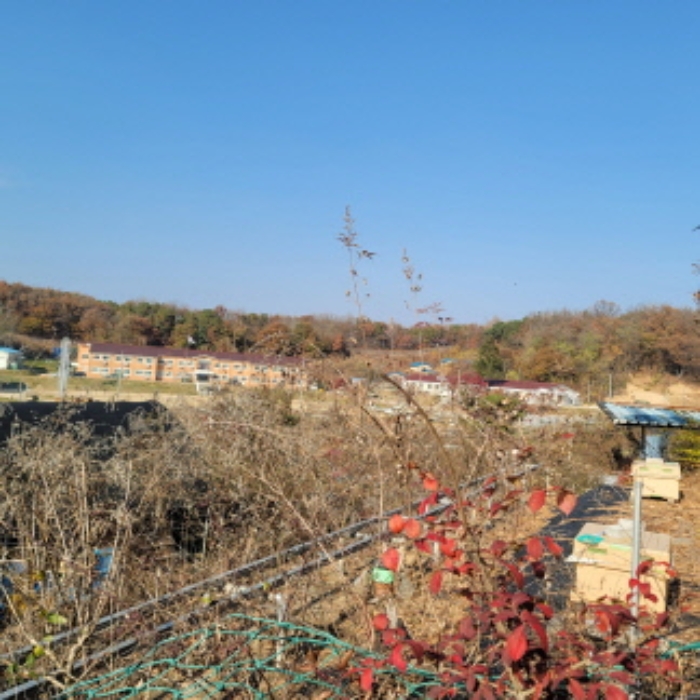 본건 토지 전경