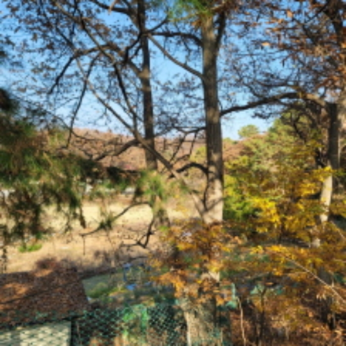 본건 토지 전경