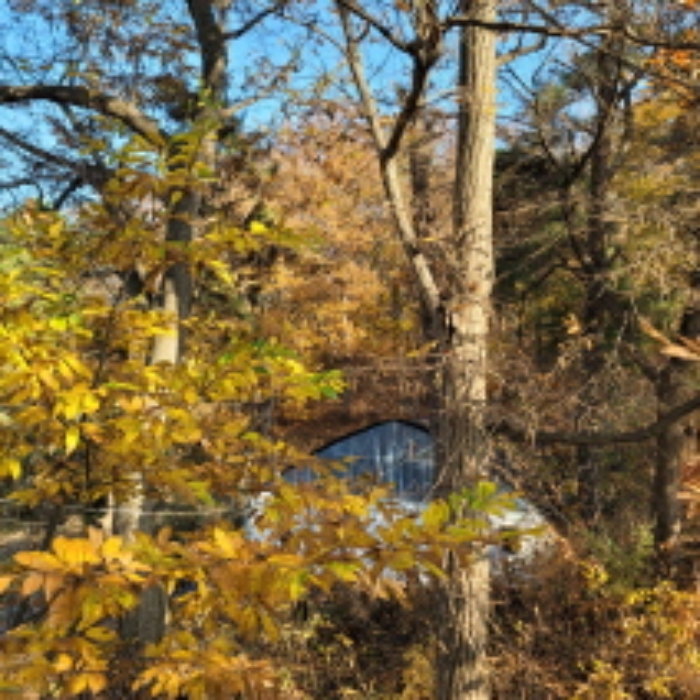 본건 토지 전경