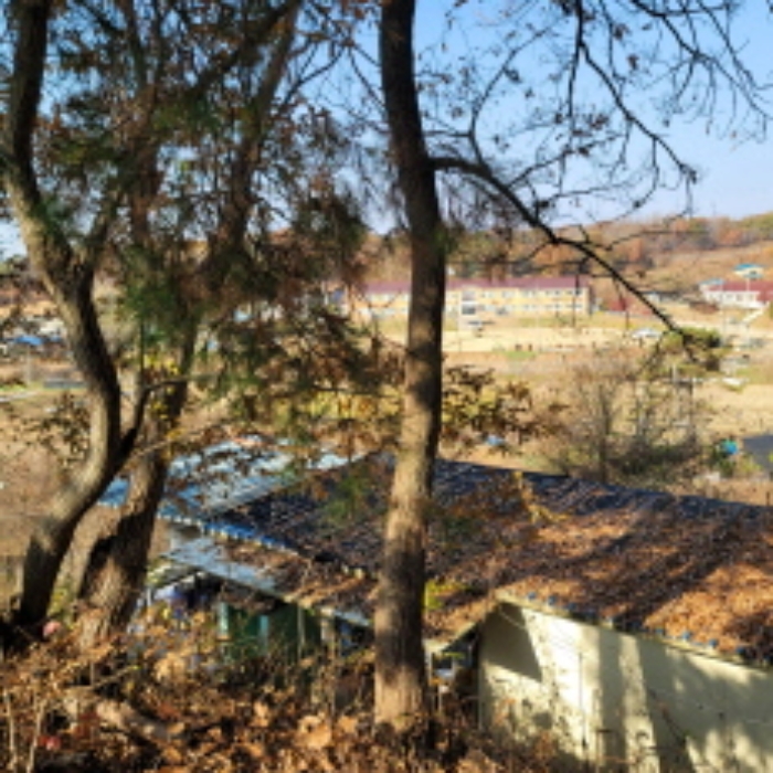 본건 토지 및 제시외 건물 전경