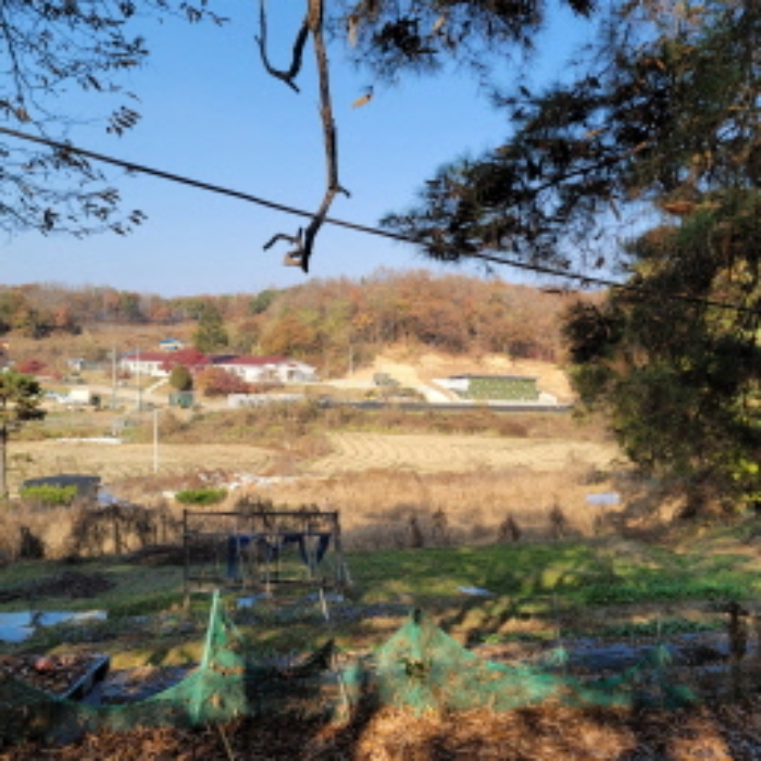 본건 토지 전경(일부 밭으로 이용한 흔적 있음)