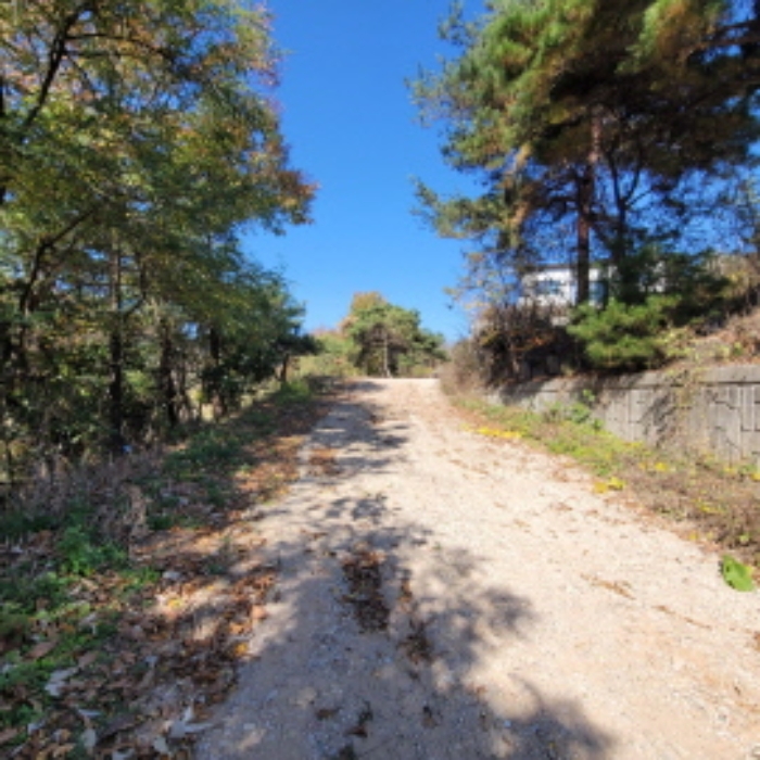 목록9 토지 전경