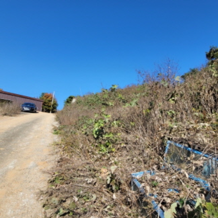 목록9 토지 전경