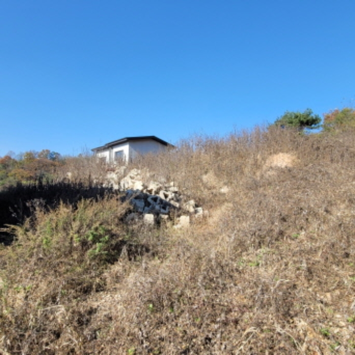 목록8 토지 전경