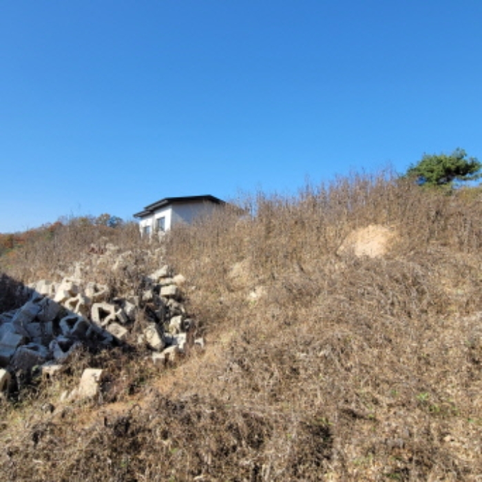 목록8 토지 전경